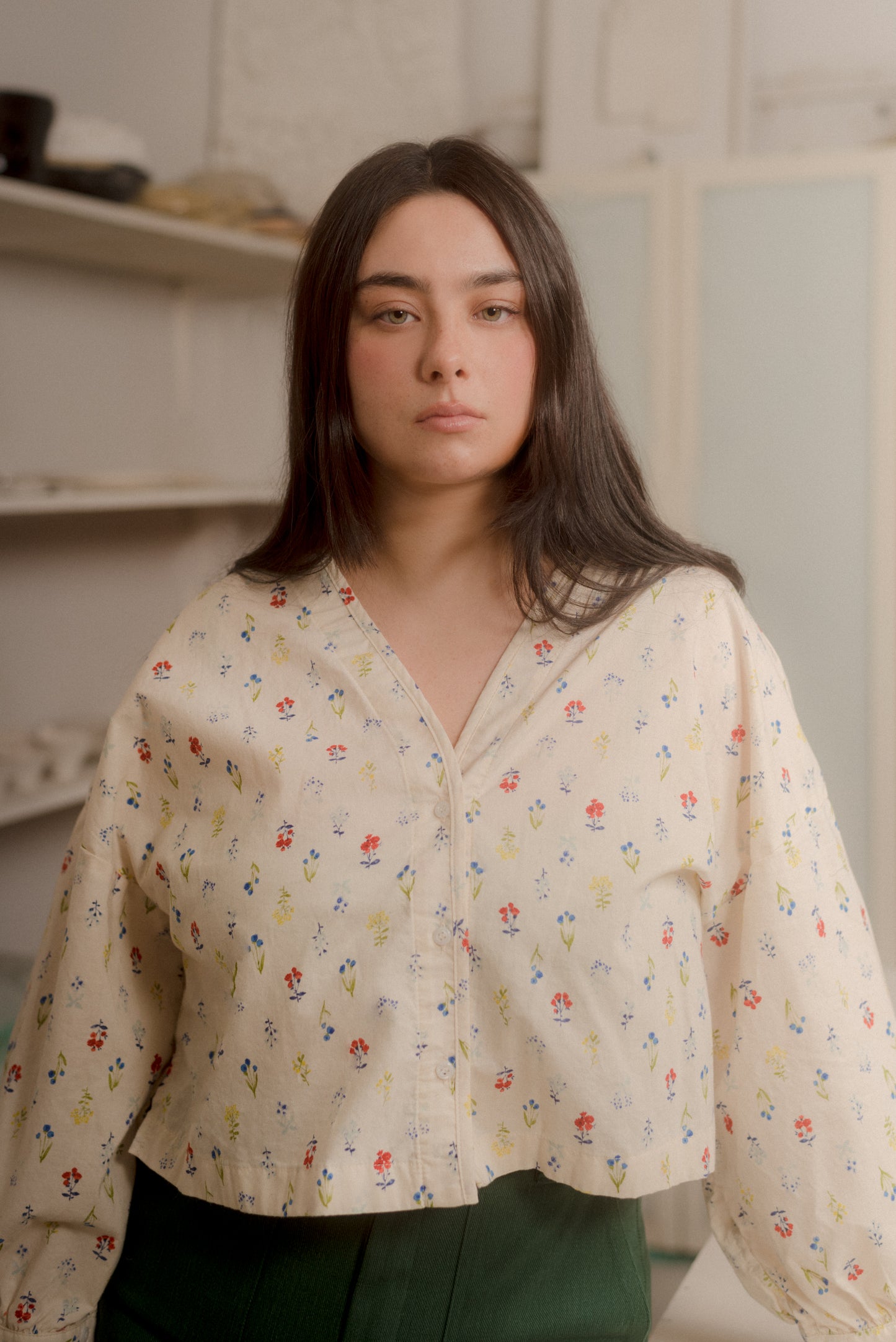 HOUSE DRESS & SHIRT - PDF SEWING PATTERN